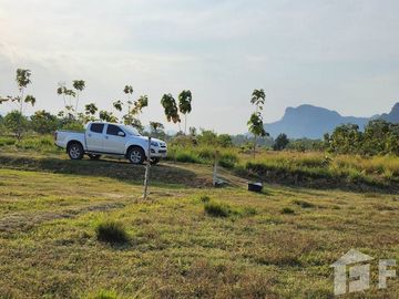 Land for sale in Nong Chumphon, Phetchaburi