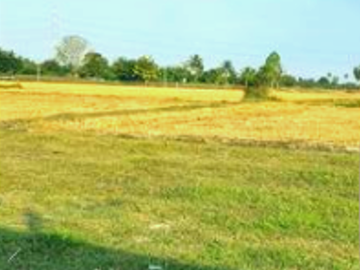 Land for sale in Nong Chumphon, Phetchaburi
