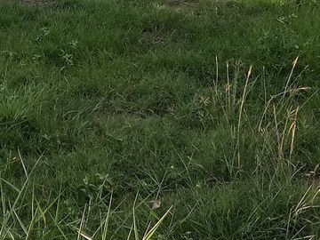 Land for sale in Thong Chai, Phetchaburi