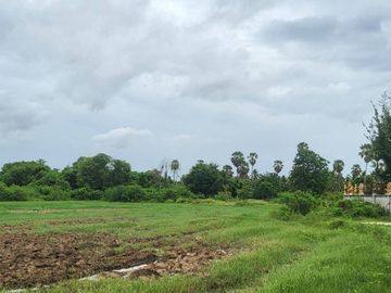 Land for sale in Ban Mo, Phetchaburi