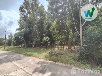 Land for sale in Chamuang, Phatthalung