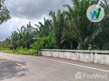 Land for sale in Khuan Khanun, Phatthalung