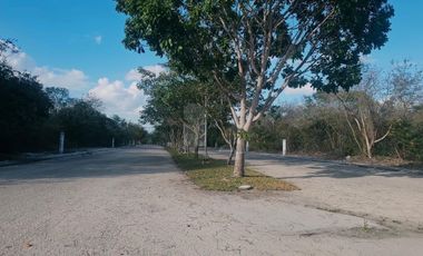 Terreno Venta en Puerta de Agua, El Paraíso, Progreso, Yucatán.