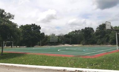 Terreno Venta en Puerta de Agua, El Paraíso, Progreso, Yucatán.