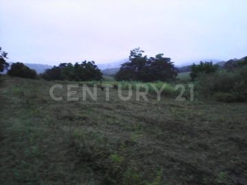 VENTA DE RANCHO EN CIUDAD VALLES, SAN LUIS POSOTI