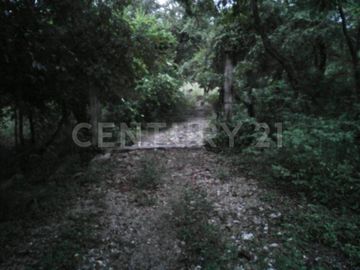 VENTA DE RANCHO EN CIUDAD VALLES, SAN LUIS POSOTI