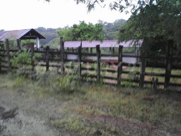 VENTA DE RANCHO EN CIUDAD VALLES, SAN LUIS POSOTI