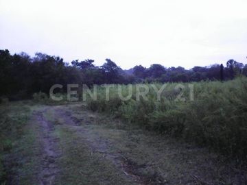 VENTA DE RANCHO EN CIUDAD VALLES, SAN LUIS POSOTI