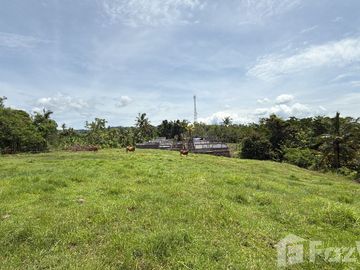Land for sale in Balian, Bali