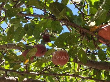 Exclusiva parcela de 9.500 m² en Huelquén con excelente proyección y entorno natural privilegiado
