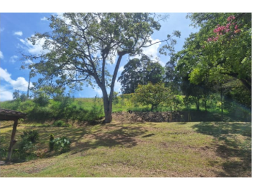 FINCA EN EL MIRADOR DE LA CEJA, VIA LA CEJA - LA UNION