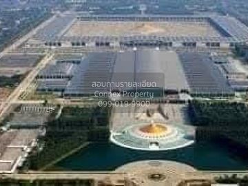 FOR RENT Commercial Building The Connect @ klong 5   CX-148435