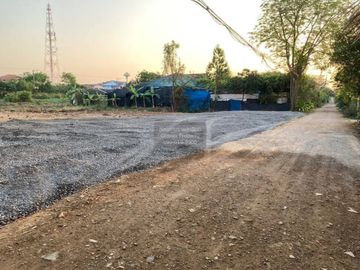 FOR RENT Commercial Building The Connect @ klong 5   CX-148435