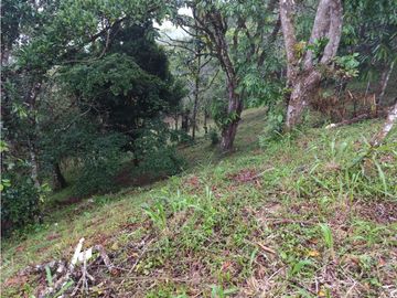 Venta de Terreno en Altos de Cerro Azul