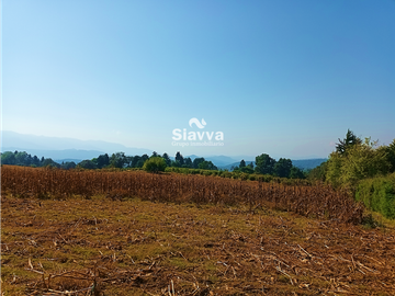 TERRENO EN VENTA EN TEMASCALTEPEC