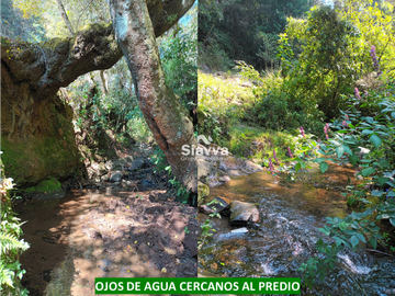 TERRENO EN VENTA EN TEMASCALTEPEC