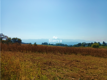 TERRENO EN VENTA EN TEMASCALTEPEC
