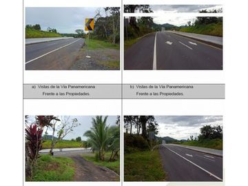 Se Vende Finca de 146 Hectáreas en Los Naranjos-David,Vía Panamericana