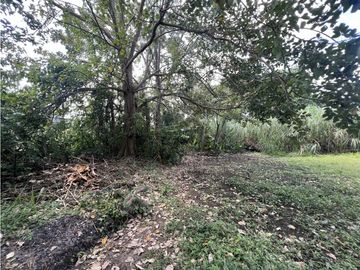 Terreno Residencial en Venta en Ciudad Radial