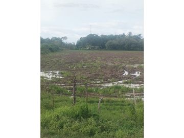 Se Vende Finca Plana en La Pintada Penonome