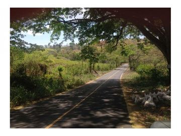 Se Vende Terreno en Playa Leona 