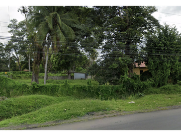TERRENO / BOCAS DEL TORO / CHANGUINOLA / 2442M / AVENIDA PRINCIPAL