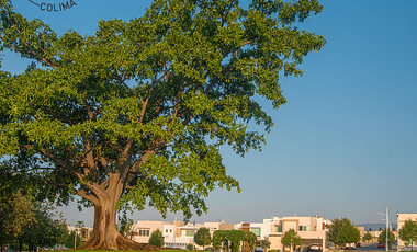 CASA EN RESIDENCIAL BOSQUE REAL