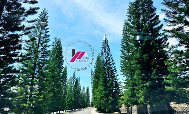 CASA EN RESIDENCIAL BOSQUE REAL