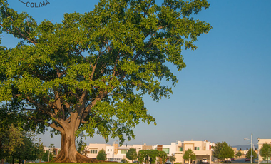 CASA EN RESIDENCIAL BOSQUE REAL