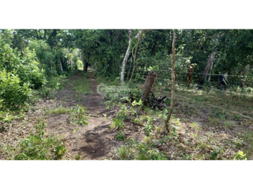 LA CHORRERA / FINCA PARA DESARROLLO INMOBILIARIO / 5 HECTAREAS