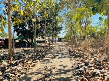Land for sale in Khun Khong, Chiang Mai