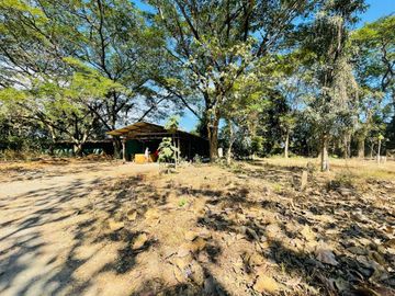 Land for sale in Khun Khong, Chiang Mai