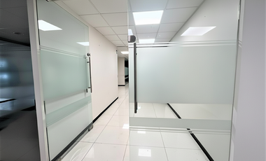 Oficina en Renta en Anzures Corporativo Reconocido (m2o3051)
