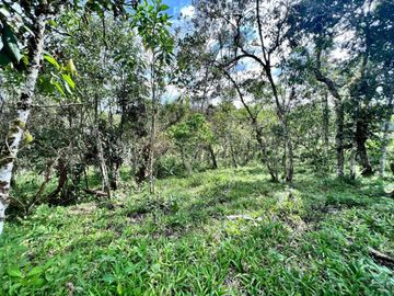 Lote independiente