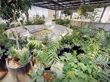 Departamento en Renta en Col Juarez, Cuauhtemoc