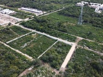 Terreno al norte de Mérida, Temozón