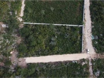 Terreno al norte de Mérida, Temozón