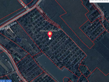 Land for sale in Rim Ping, Lamphun