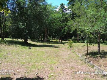 Land for sale in Si Bua Ban, Lamphun