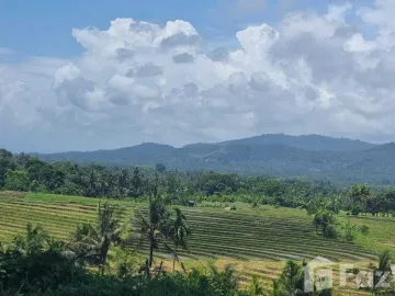 Land for sale in Selemadeg, Bali