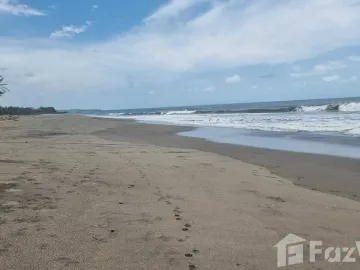 Land for sale in Selemadeg, Bali