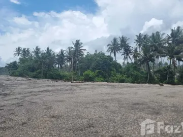 Land for sale in Selemadeg, Bali