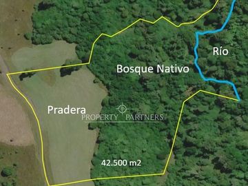 Hermoso terreno de 4,25 ha con vista a volcanes y acceso al lago Llanquihue.