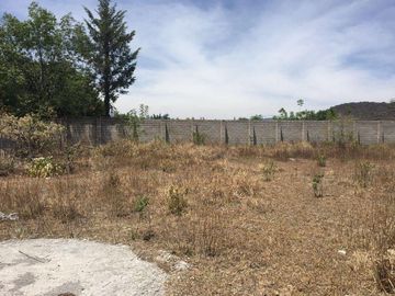Lote / Terreno en Venta en Santa Cruz los Pilares