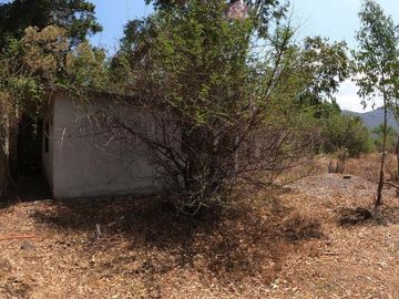 Lote / Terreno en Venta en Santa Cruz los Pilares