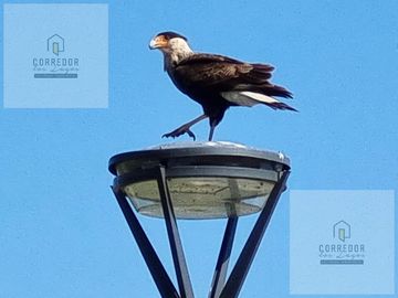 VENTA, LOTE A LA LAGUNA, PUEBLOS DEL PLATA, ELCANO AL 200