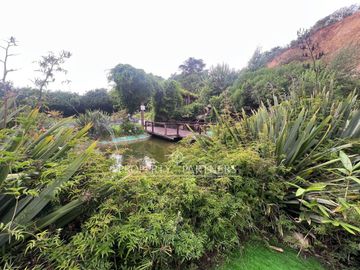 Departamento Estudio en Jardín del Mar: Un Refugio Natural con Excelente Ubicación