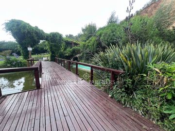 Departamento Estudio en Jardín del Mar: Un Refugio Natural con Excelente Ubicación