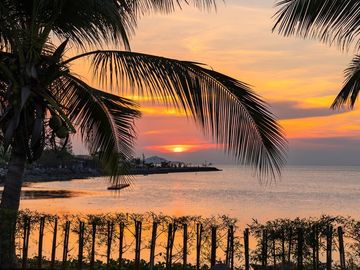 3 Bedroom Villa for sale in Bo Phut, Surat Thani