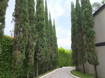 ARRIENDO de CASAS en ENVIGADO